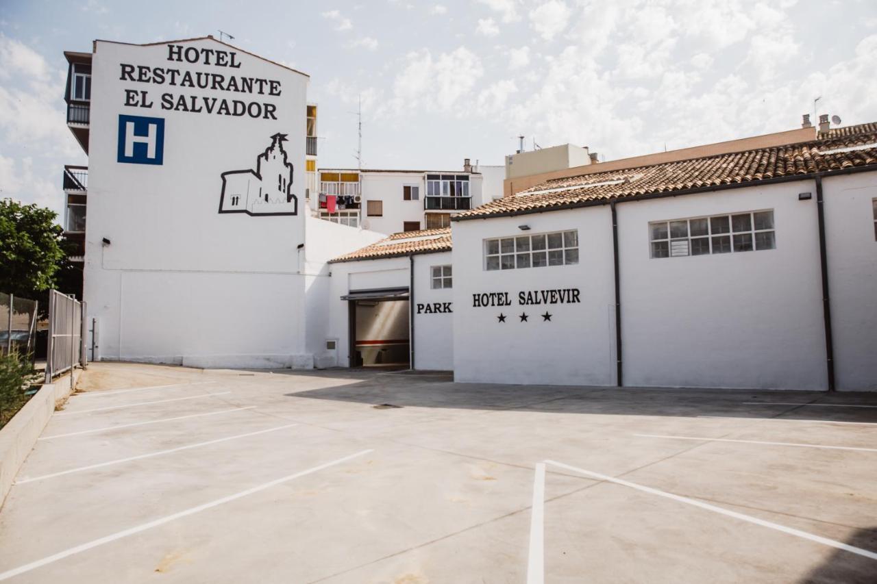 Hotel Salvevir Ejea De Los Caballeros Ngoại thất bức ảnh